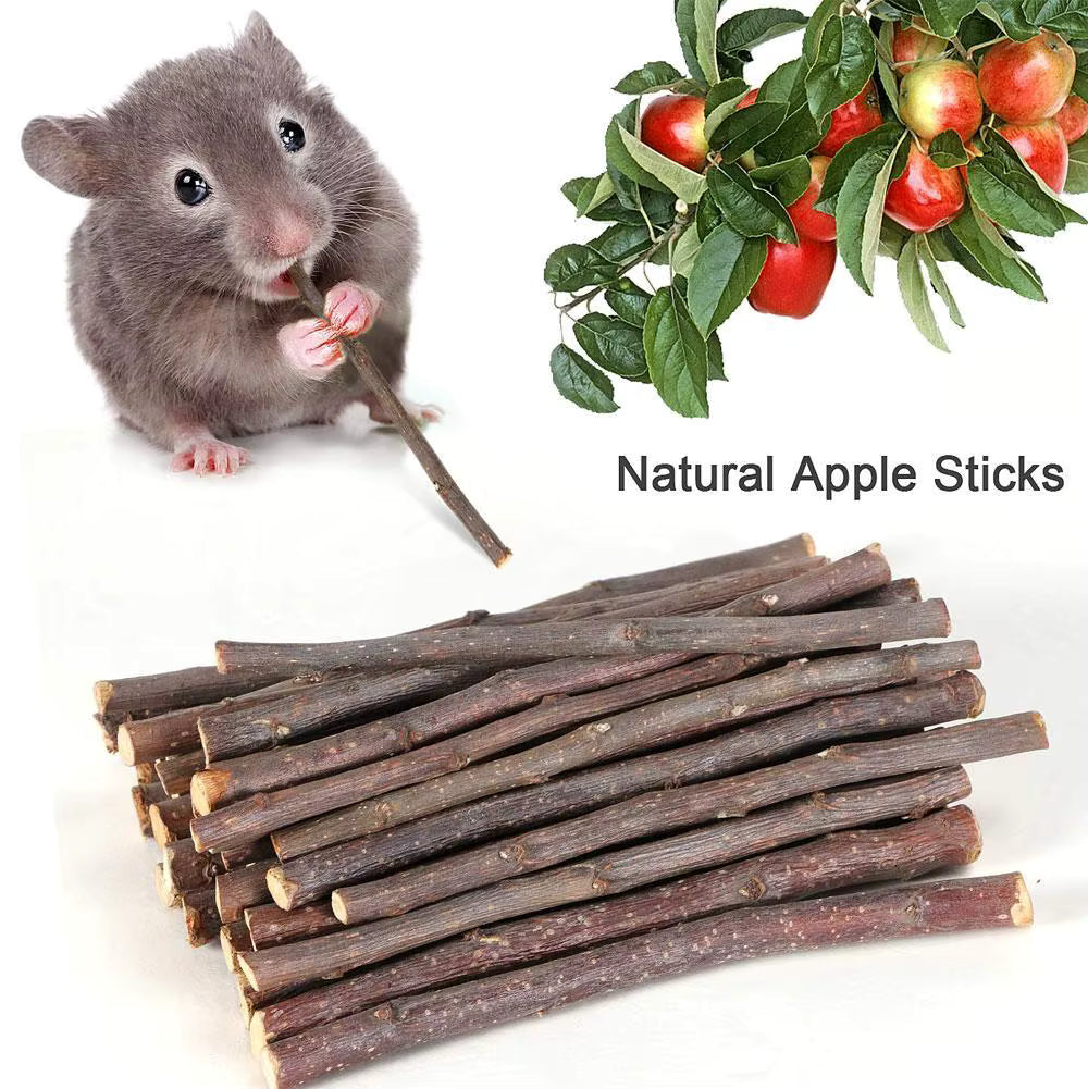 Bastoncino Rosicchiabile Naturale per Roditori