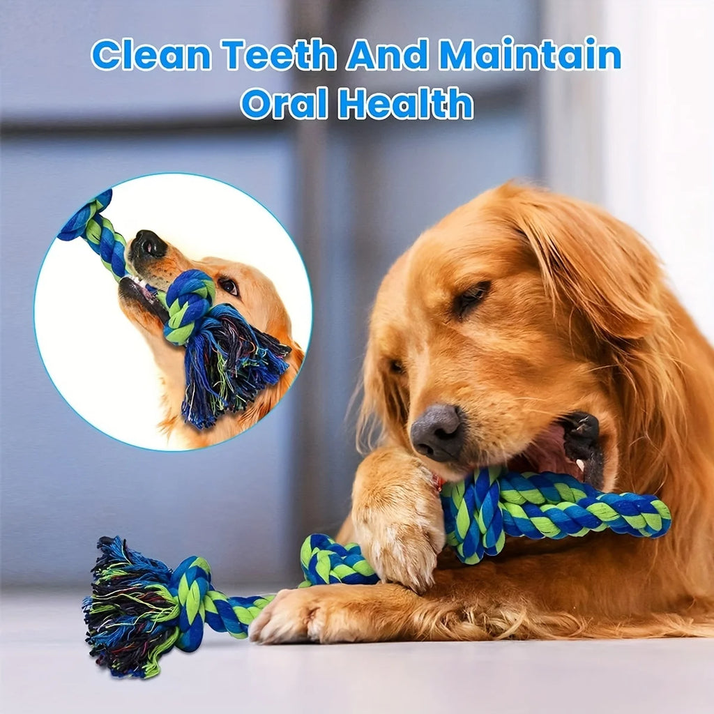 Gioco con corda per cani