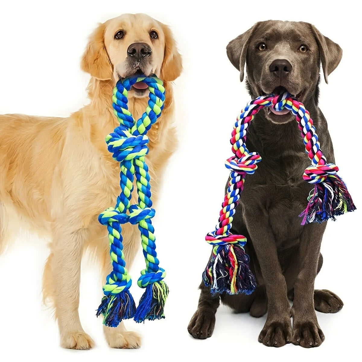 Gioco con corda per cani